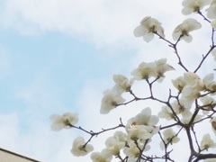 P1070846　空に…♪