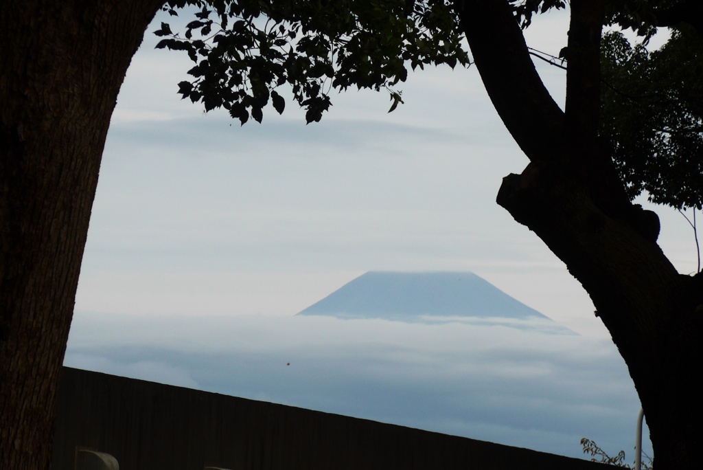 P1180624　10月21日 今朝の富士山