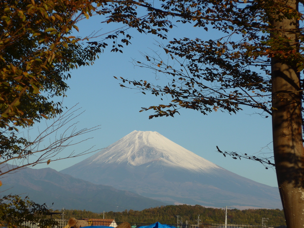 P1120780　11月23日 今朝の富士山