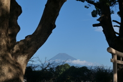 P1022907　10月9日 今朝の富士山
