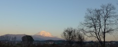 P1130173　12月24日 今朝の富士山