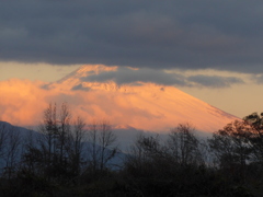 P1130078　12月15日 今朝の富士山