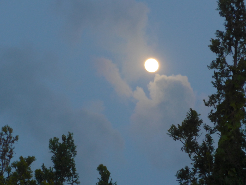 P1150785　お月さま