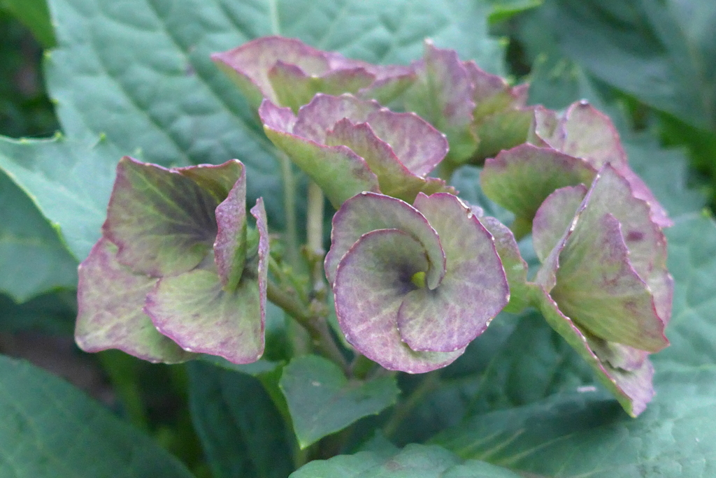 P1240241　終演
