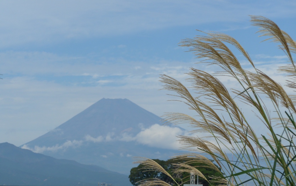 P1250142　10月16日 富士山とススキ