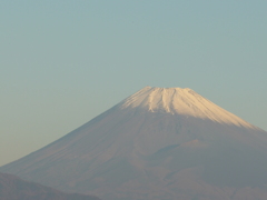 P1120506　11月9日 朝の富士山
