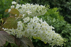 P1068789　慈愛