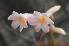 P1079755　顔を上げて