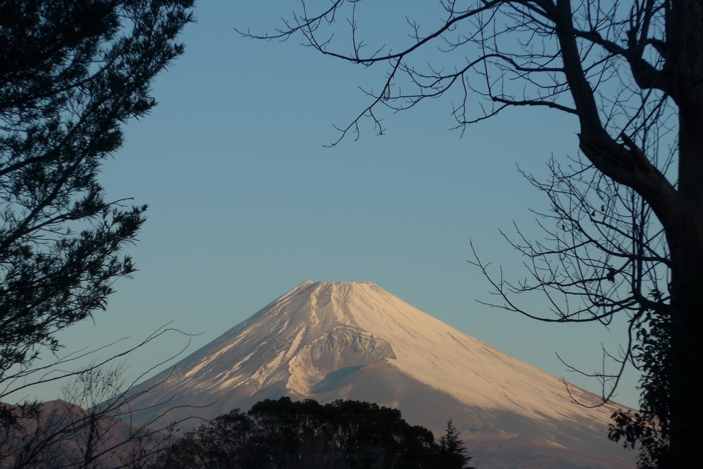 1月27日 今朝の富士山