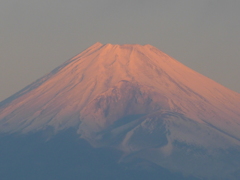 12月11日　朝の富士山