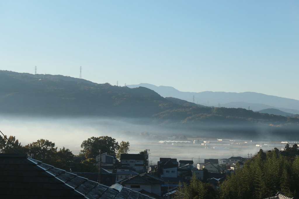 P1080976　ある朝の風景