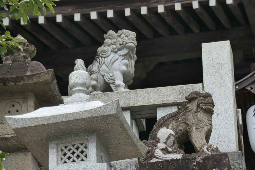 P1035028　狛犬さん