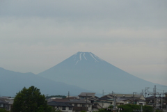 P1360164　6月13日 今朝の富士山