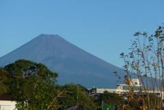 P1180559　10月13日 今朝の富士山