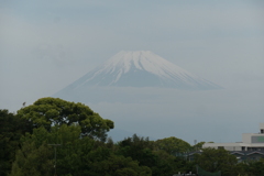 P1011821　4月25日 今朝の富士山