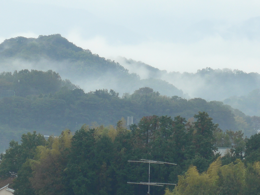 P1120208　雨上がりの朝