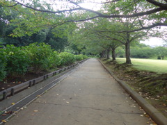 とある公園