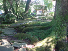 高源寺参道