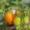 R0352577