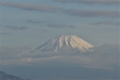 P1260777 (2)　4月8日 今朝の富士山