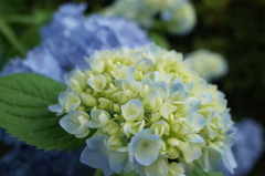 R0353104　いつもの公園で