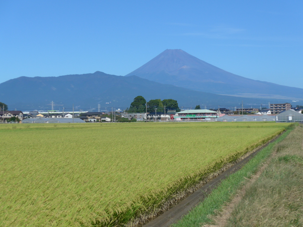 P1110783　10月1日 今日の富士山