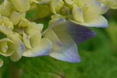 P1270217　はじまり～♪