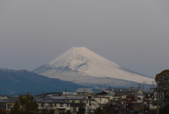 P1190321　11月30日6時32分 の富士山