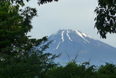 P1160533　6月17日 今朝の富士山