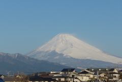 P1250853　1月29日 今朝の富士山