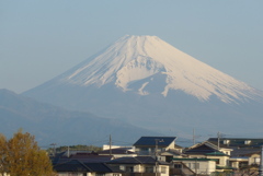 P1320433　4月4日 今朝の富士山