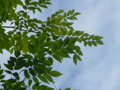 P1030449