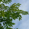 P1030449