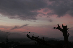 P1057292　ある朝の空