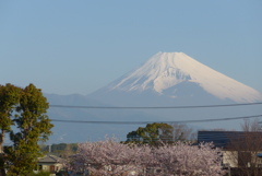 P1210652　4月9日 今朝の富士山