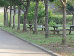 公園