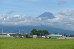 P1170752　9月3日 今日の富士山