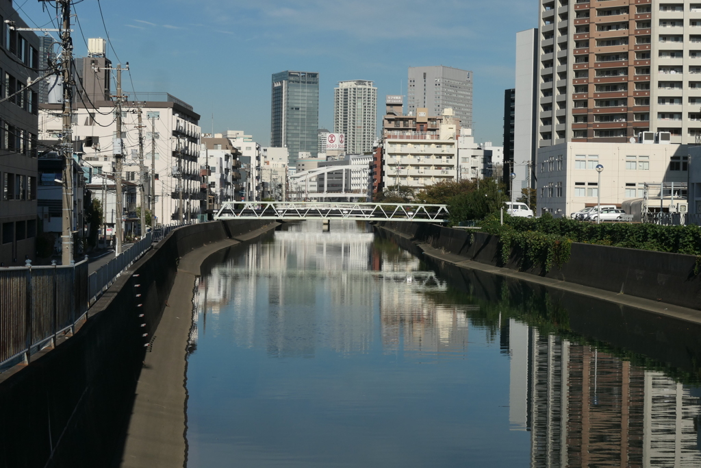 P1057163　横浜イングリッシュガーデン帰路にて