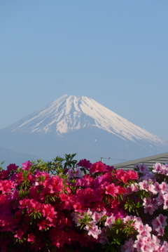 P1380342　4月27日 今朝の富士山