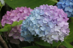 P1080345　カラフル～♪