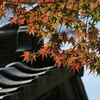 P1023097　三島楽寿園にて