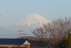 P1260097　2月22日 今朝の富士山    