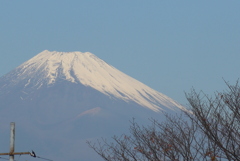 P1280799　11月19日 今日の富士山