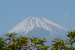 P1340600　11月29日 今日の富士山