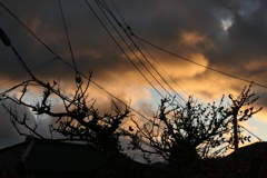 P1079821　朝焼け雲