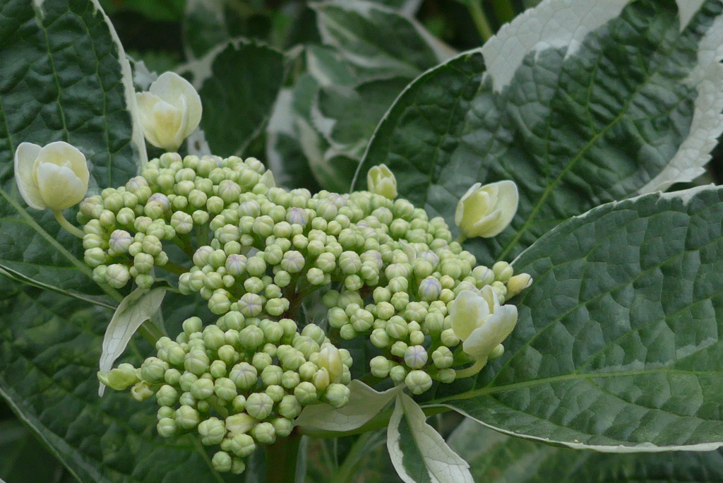 P1090554　これから