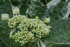 P1090554　これから