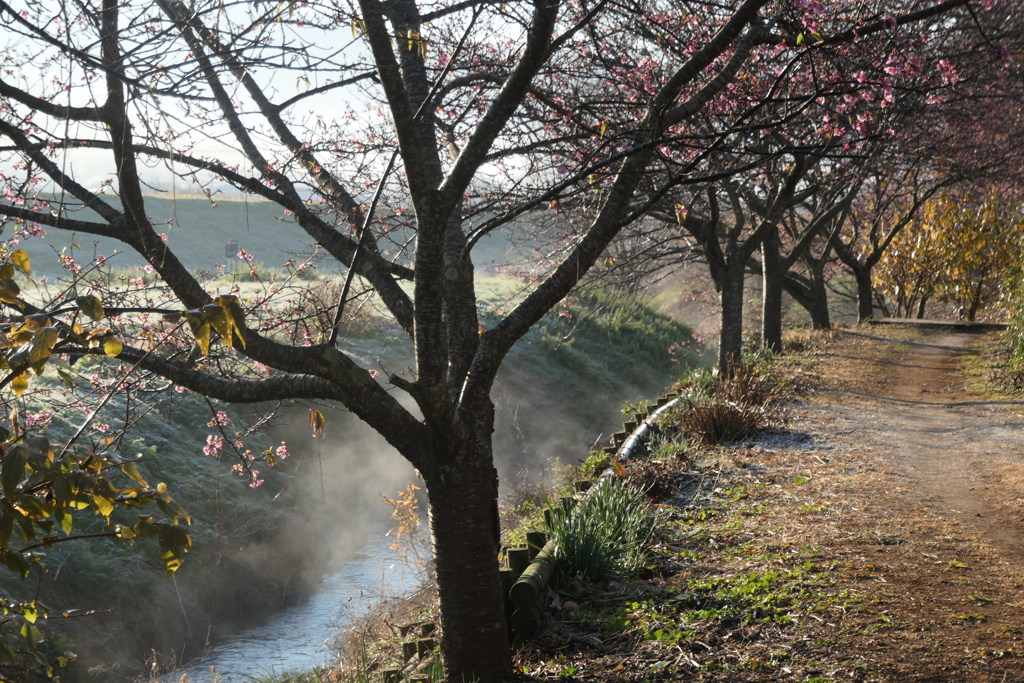 P1034916　湧き水のせせらぎ