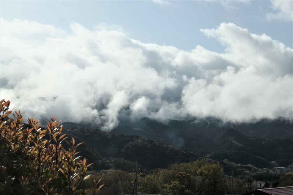 P1001337 (2)　ある雨上がりの朝