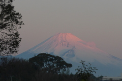 P1190710　1月13日 今朝の富士山
